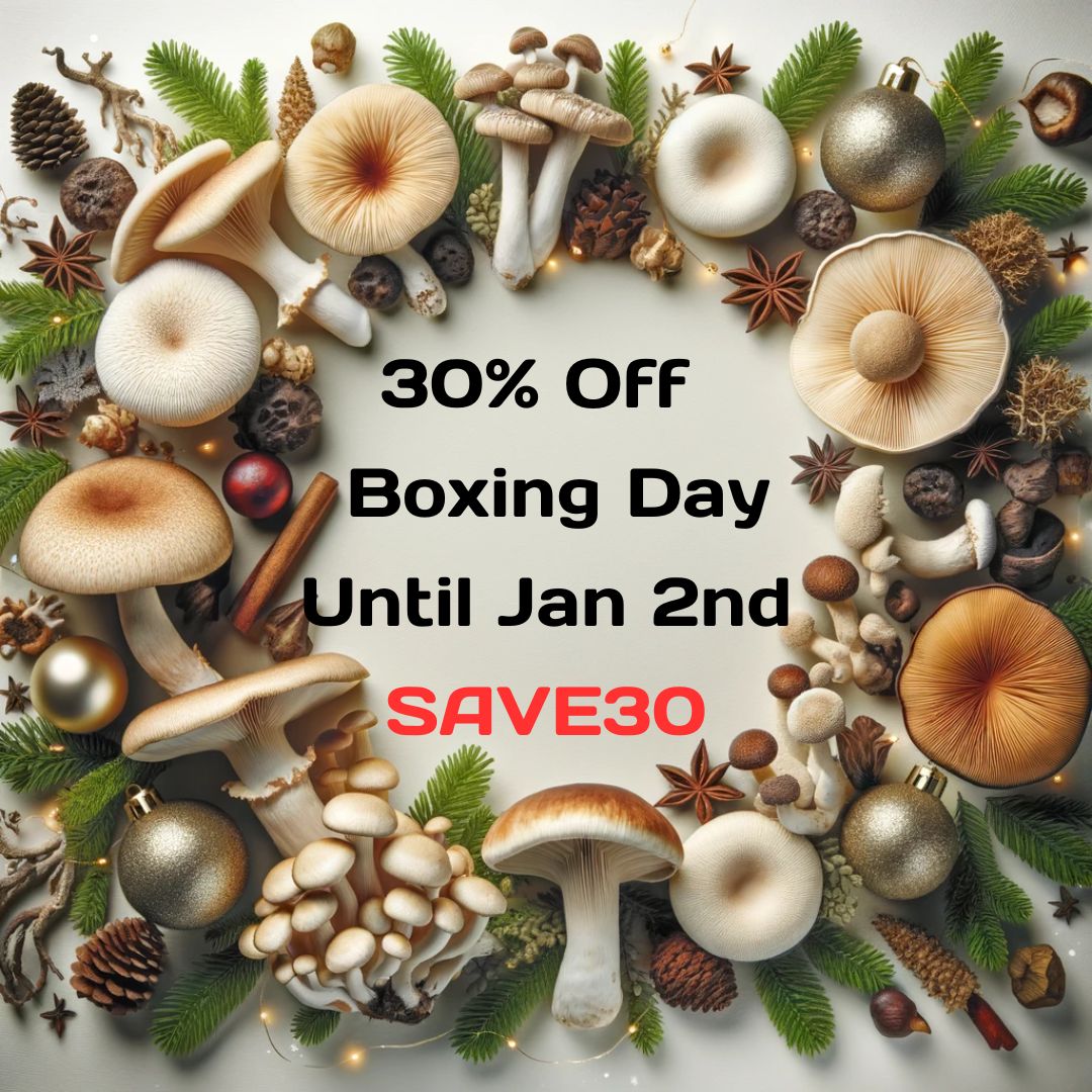 30% off boxing day