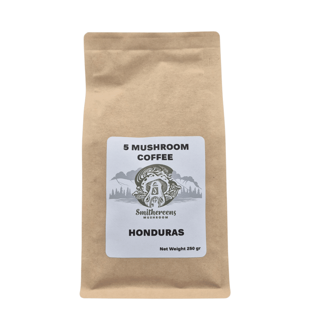 mushroom coffee