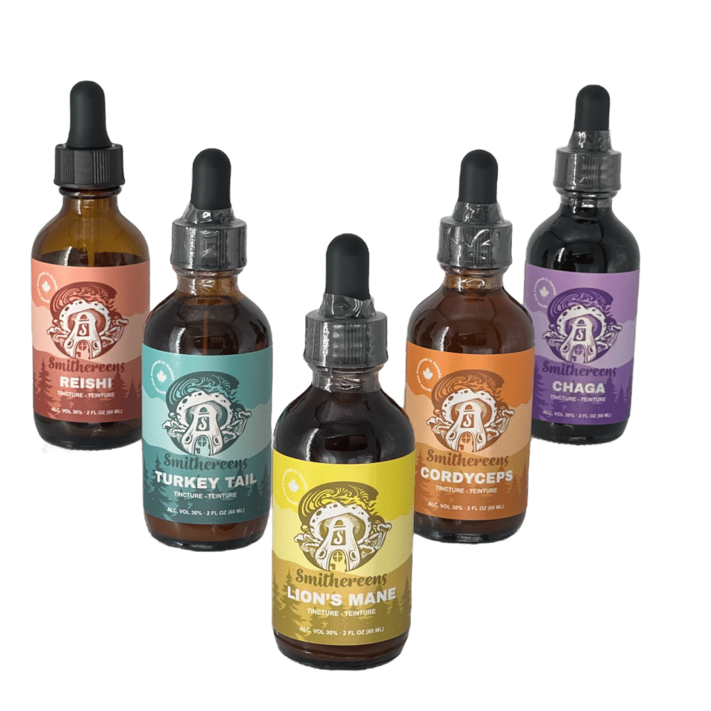mushroom tincture bundle