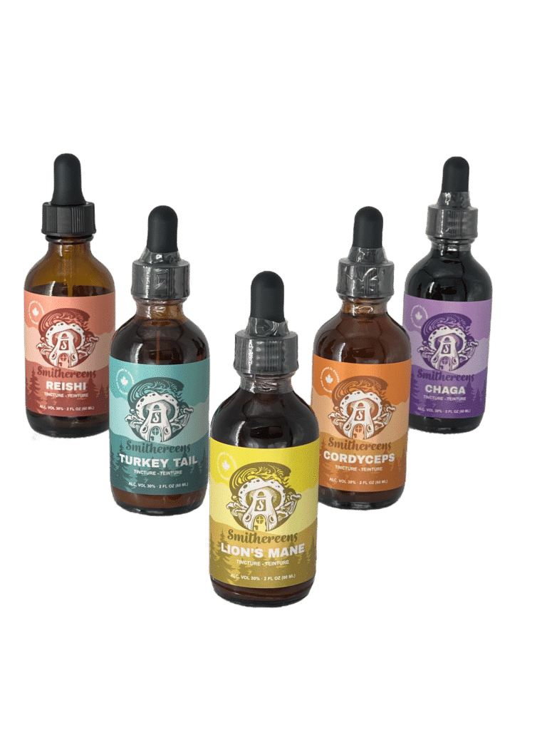 mushroom tincture bundle